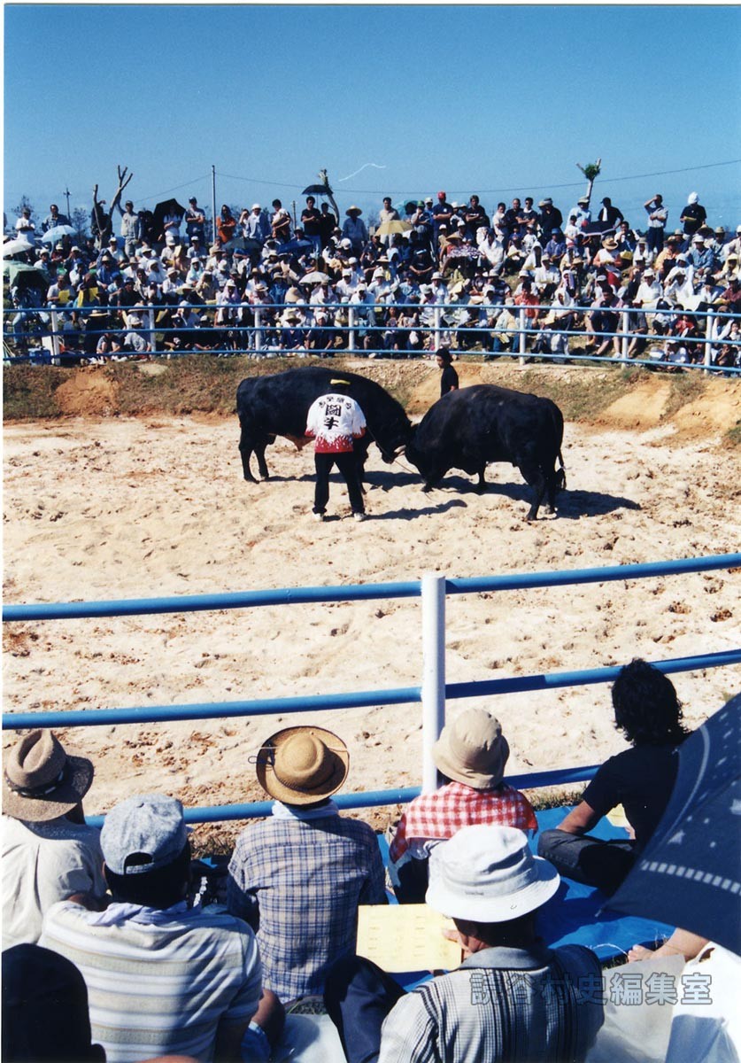 第7回まつり闘牛大会（読谷むら咲むら闘牛場）