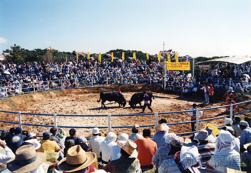 第7回まつり闘牛大会（読谷むら咲むら闘牛場）