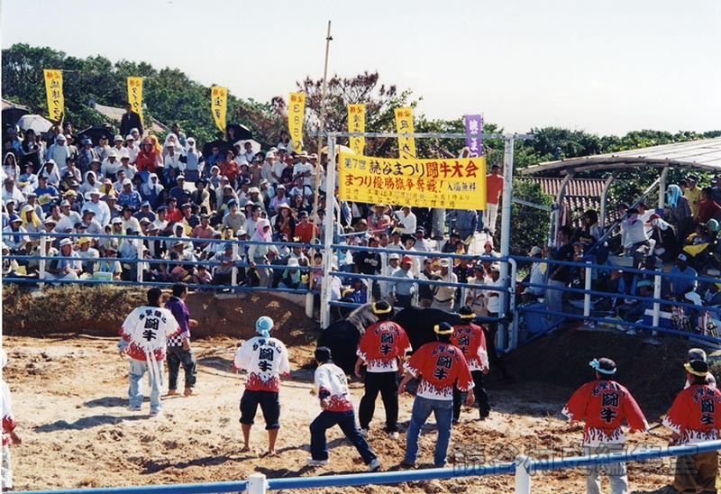 第7回まつり闘牛大会（読谷むら咲むら闘牛場）