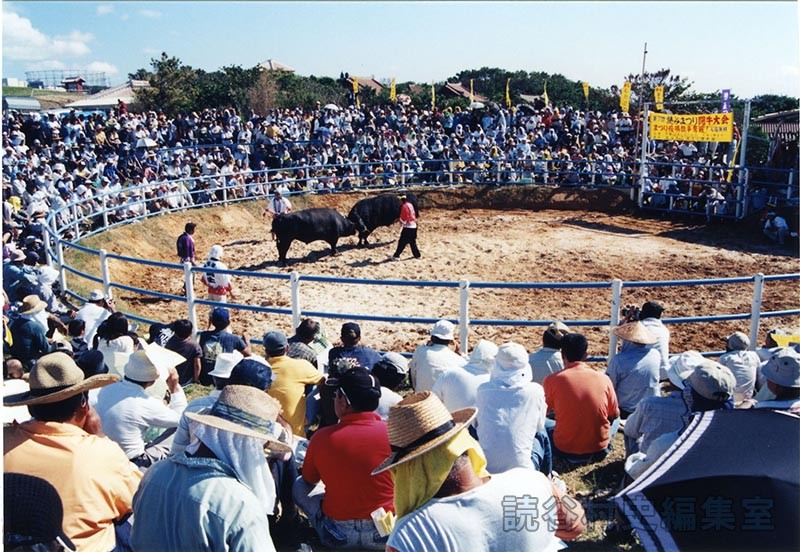 第7回まつり闘牛大会（読谷むら咲むら闘牛場）