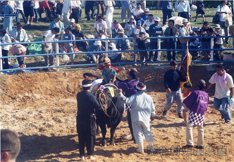 第7回まつり闘牛大会（読谷むら咲むら闘牛場）
