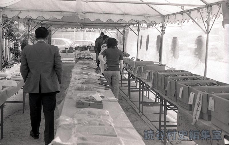 会場風景　農作物総合展示即売会（読谷村農協）