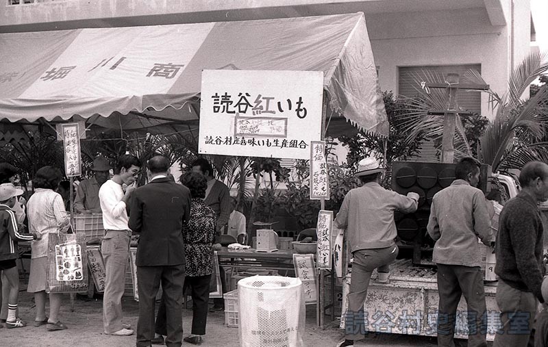 会場風景　読谷紅いも