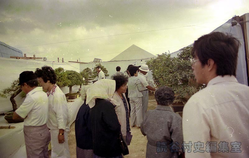 会場風景　盆栽展示会場