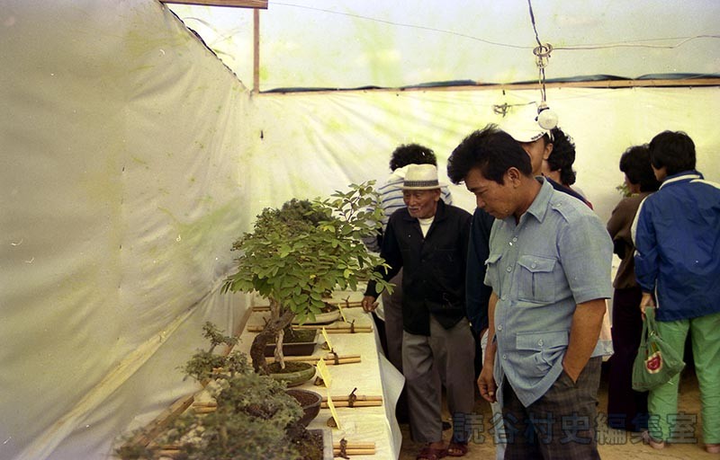 会場風景　盆栽展示会場