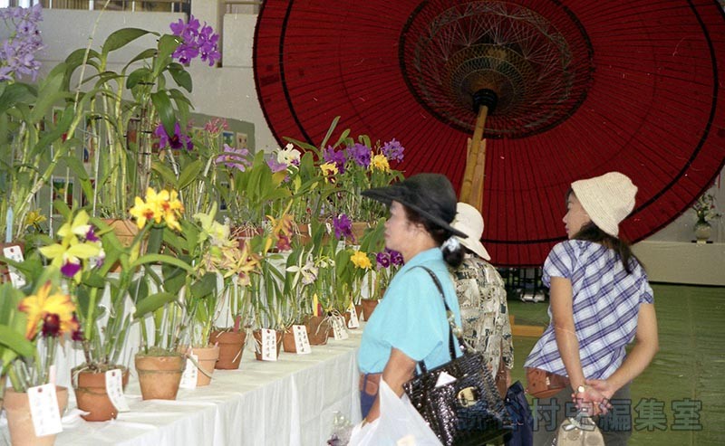会場風景　総合作品展示会　ラン愛好家（体育センター）
