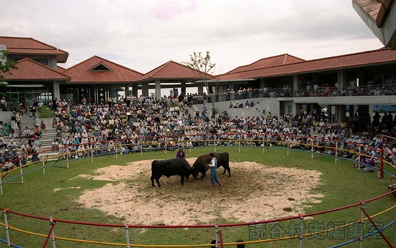 まつり闘牛大会（文化センター　ふれあい広場）