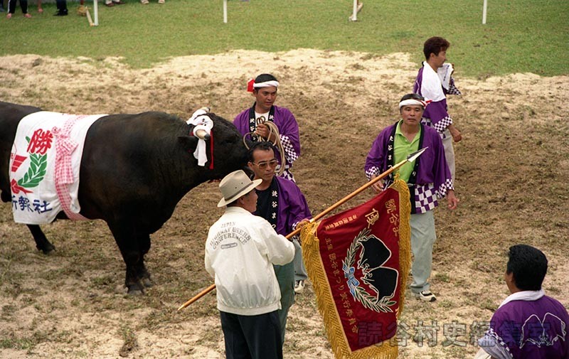 まつり闘牛大会（文化センター　ふれあい広場）