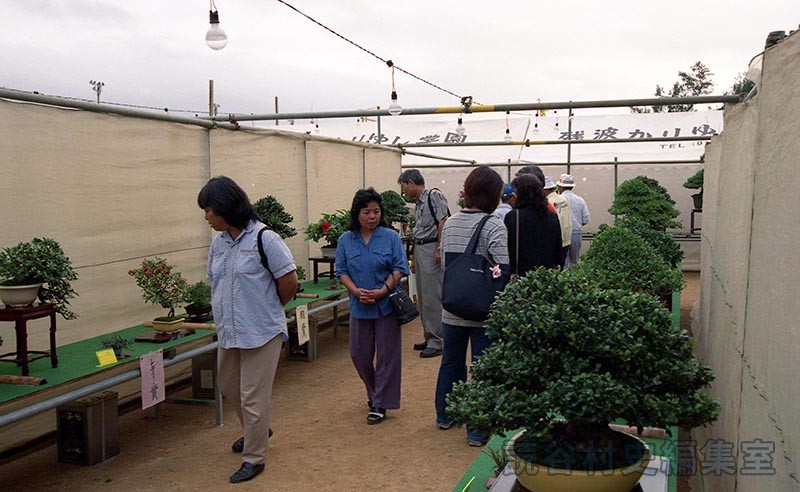 会場風景　盆栽展示会場