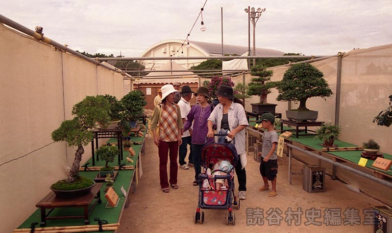会場風景　盆栽展示会場