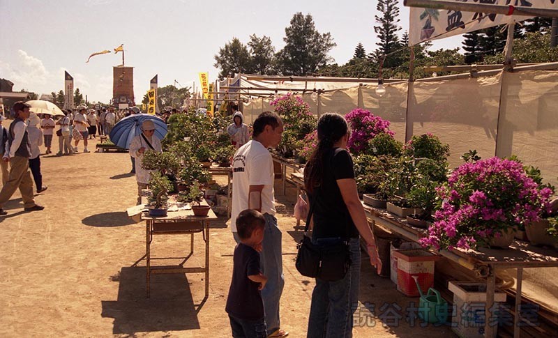 会場風景　盆栽展