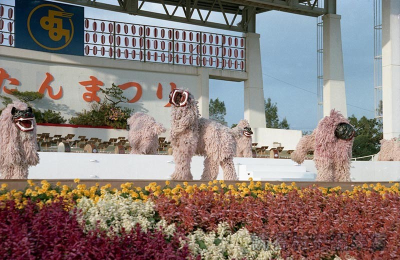 獅子舞　渡慶次子ども獅子舞クラブ（受け継ごう読谷の心）