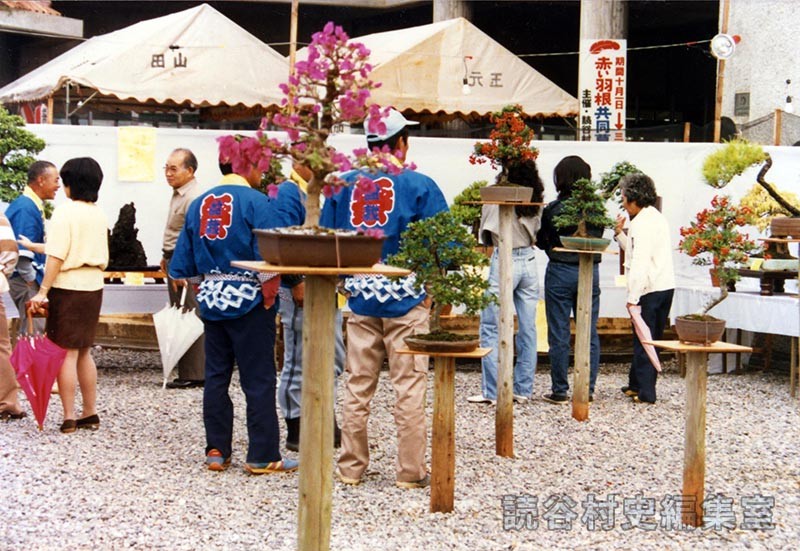 会場風景　盆栽展　読谷村盆栽同好会