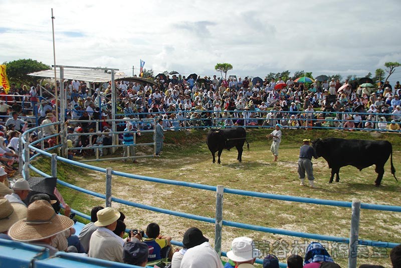 闘牛大会