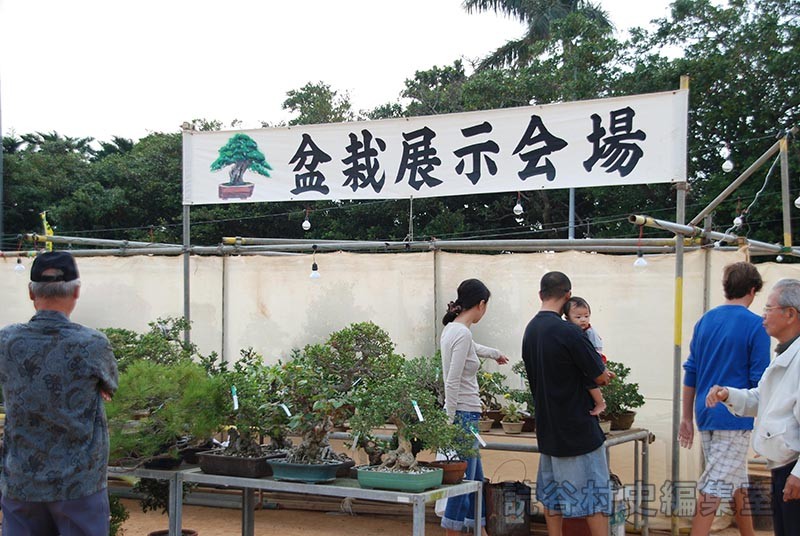 会場風景　盆栽展示会場