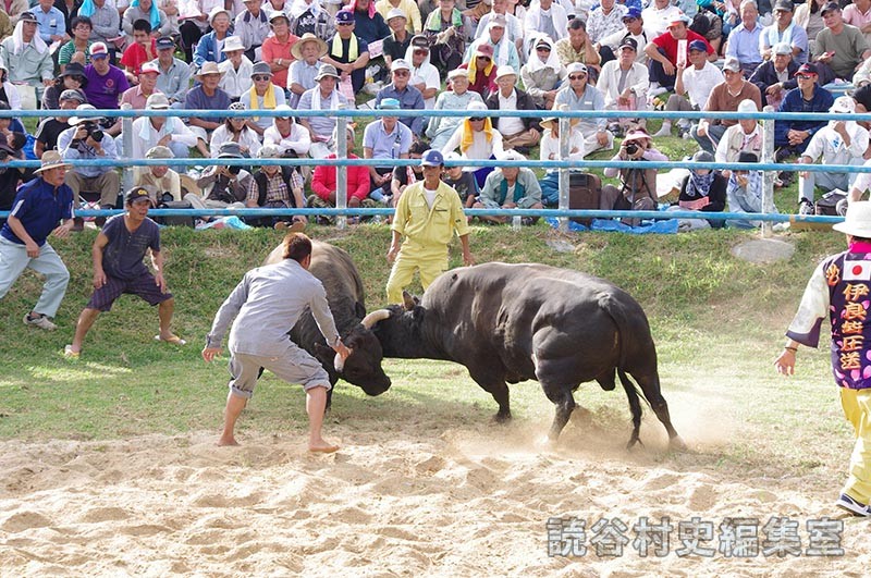 闘牛大会