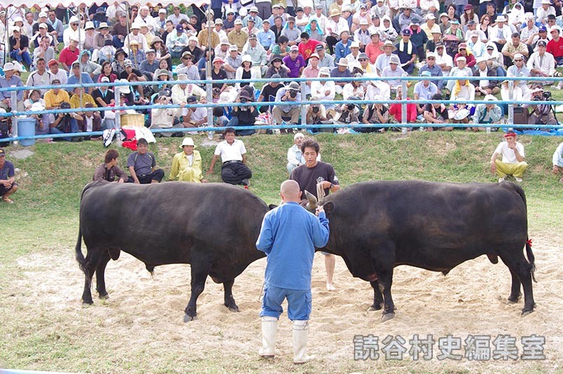 闘牛大会