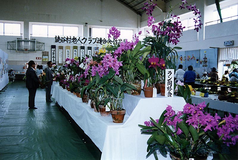 会場風景　総合作品展示会　ラン展（体育センター）