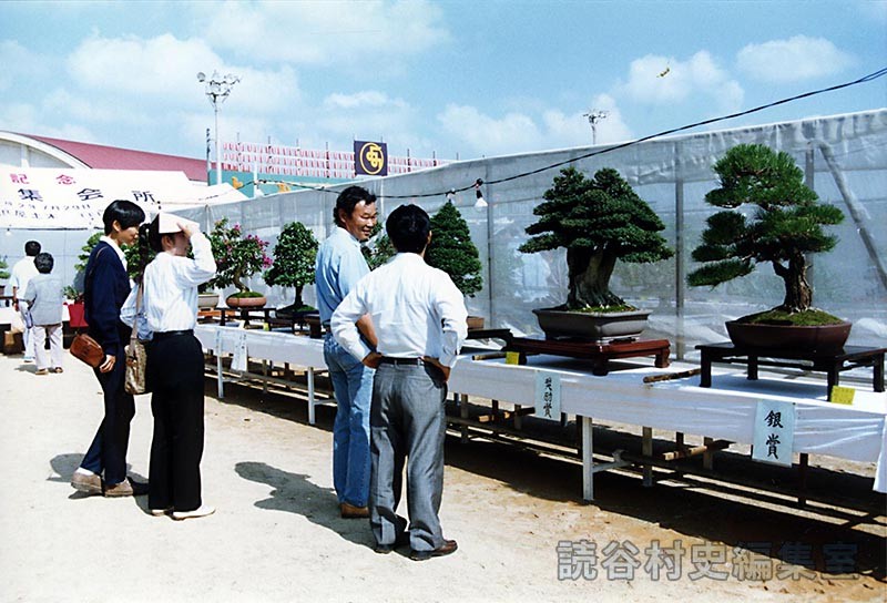 会場風景　盆栽展示会場