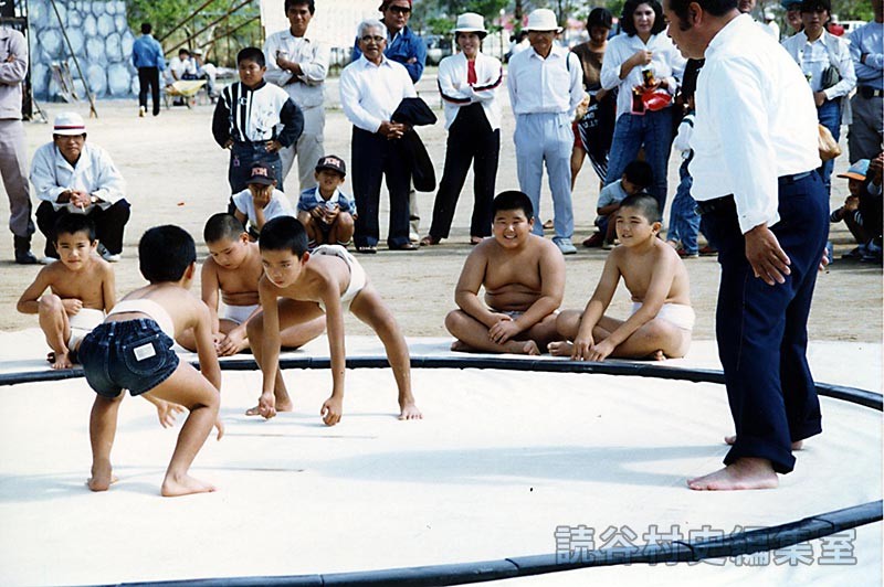 ちびっこ相撲大会