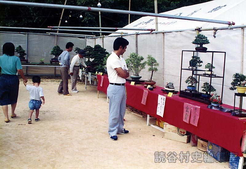 会場風景　盆栽展示会場