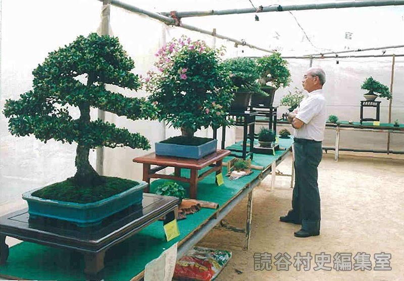 会場風景　盆栽展示会場