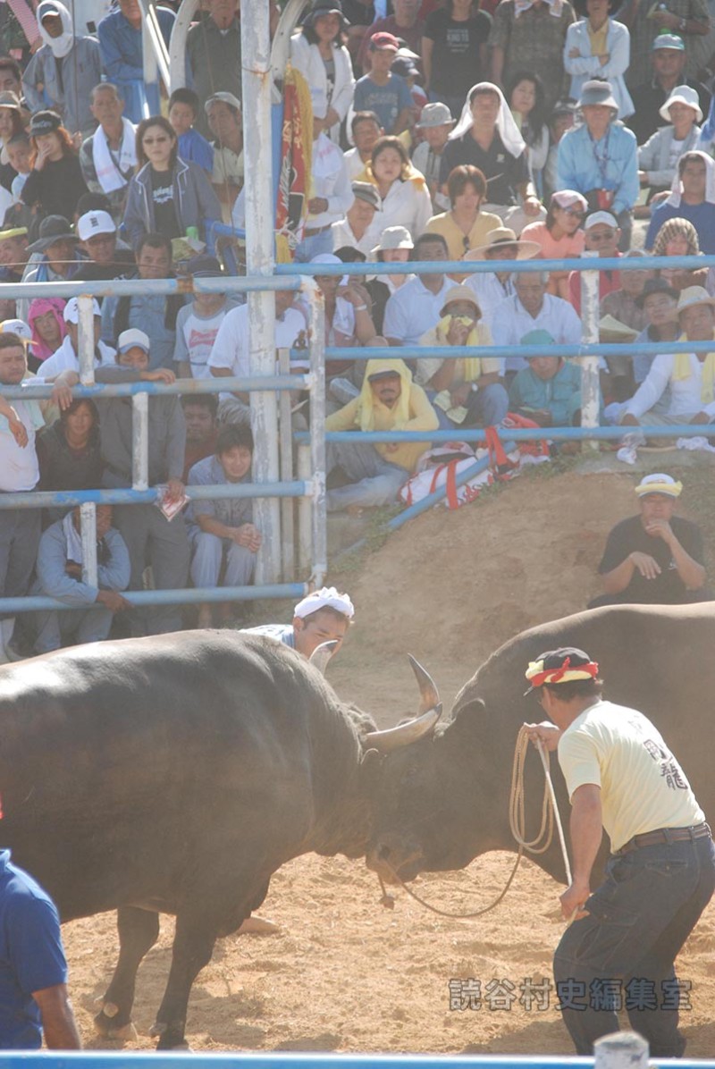 闘牛大会（読谷むら咲むら闘牛場）