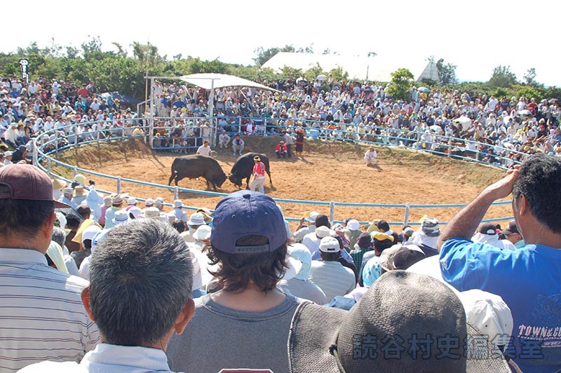 闘牛大会