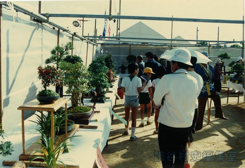 会場風景　盆栽展示会場