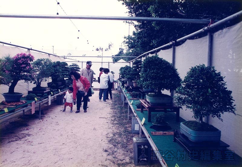 会場風景　盆栽展示会場