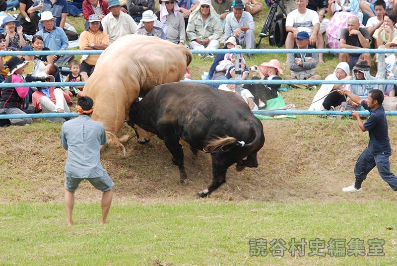 闘牛大会